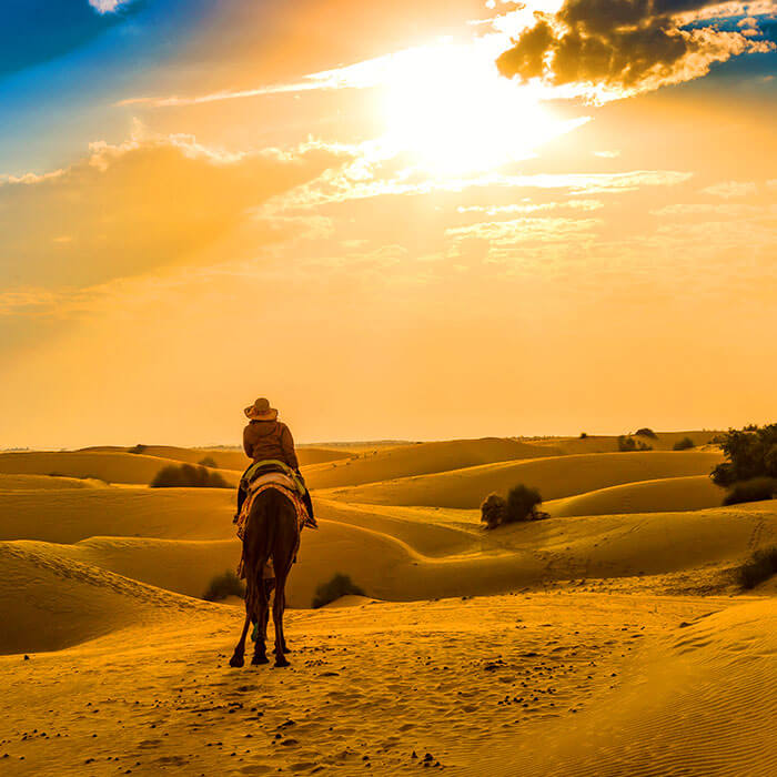 Rajasthan heritage experience